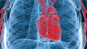 heart disease1