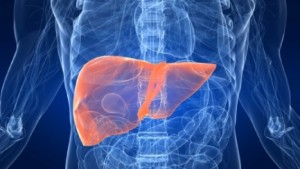 10 Signs that Your Liver Needs You