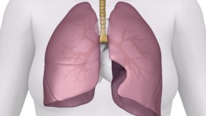 Can New Lung Imaging Technique Help Asthma Sufferers