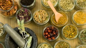 Four Great Herbals Remedies For Coughing And Sore Throats