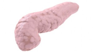 Is the Artificial Pancreas the Future in Diabetes Treatment