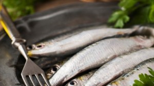 Weekly portions of oily fish can stave off stroke