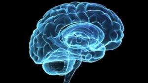 Your Three-Step Guide To Keeping Your Brain Young