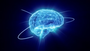 brain function top 3