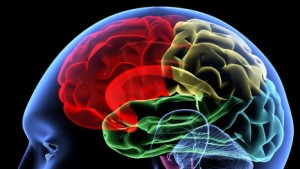 brainchange