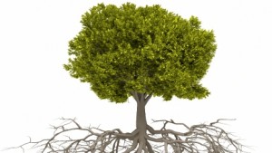 super tree