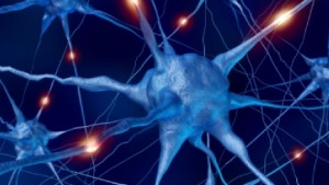 Could Your Pain Neurons Hold the Secret of a Diabetes Cure