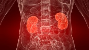 Obese Teens Face Mid-Life Kidney Crisis