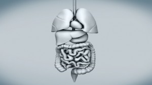 digestive crohns