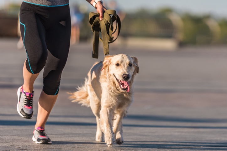 A person jogs with their dog.