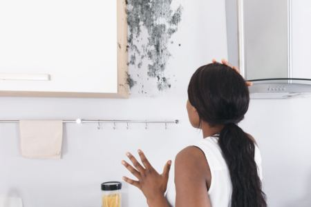 Is Mould Lurking  In Your Kitchen?